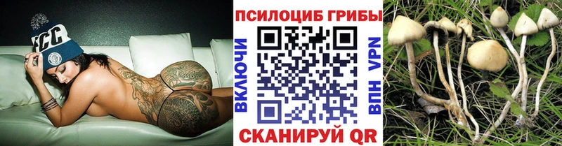 Галлюциногенные грибы мицелий где купить наркоту Лагань